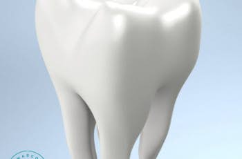 Sve O Zubima Na Jednom Mestu marco dental tourism