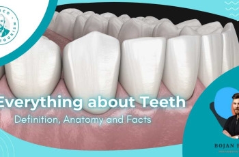 Everything about Teeth in One Place marco dental tourism